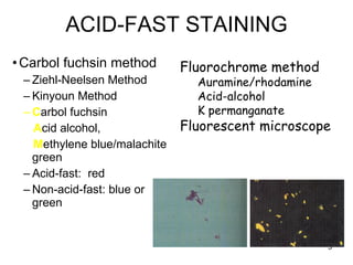 Basic Microbiology | PPT