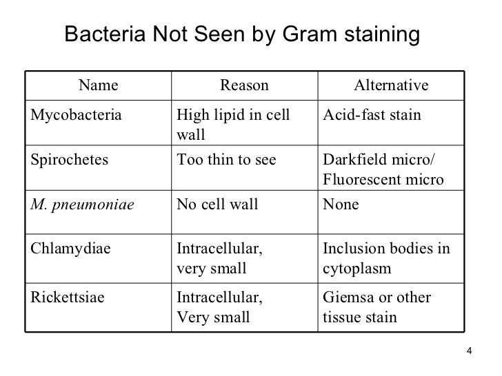 basic microbiology mycoplasma pneumoniae gram stain