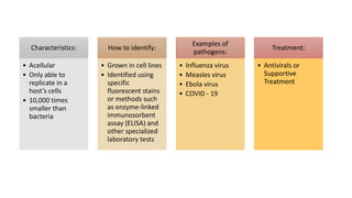 Basic Microbiology. | PPTX