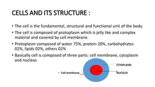 CELLS AND ITS STRUCTURE :
• The cell is the fundamental, structural and functional unit of the body.
• The cell is composed of protoplasm which is jelly like and complex
material and covered by cell membrane.
• Protoplasm composed of water 75%, protein 20%, carbohydrates
02%, lipids 02%, others 02%
• Basically cell is composed of three parts: cell membrane, cytoplasm
and nucleus
CYTOPLASM
• Cell membrane___________________ NUCLEUS
 