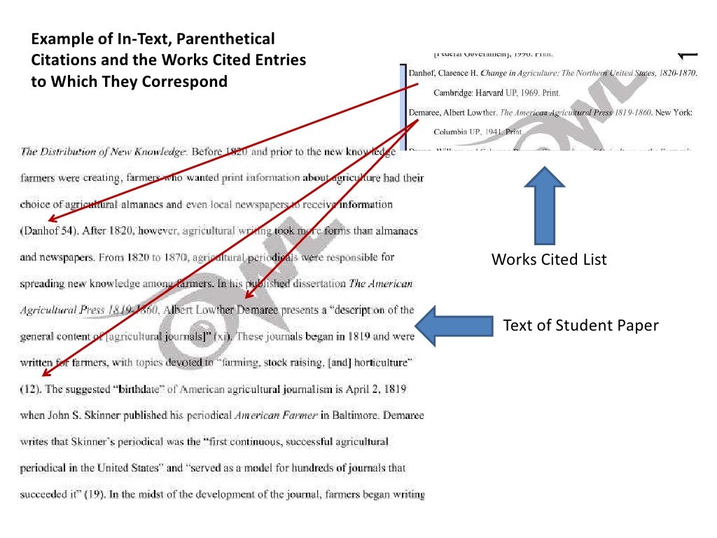 Basic mla citation review