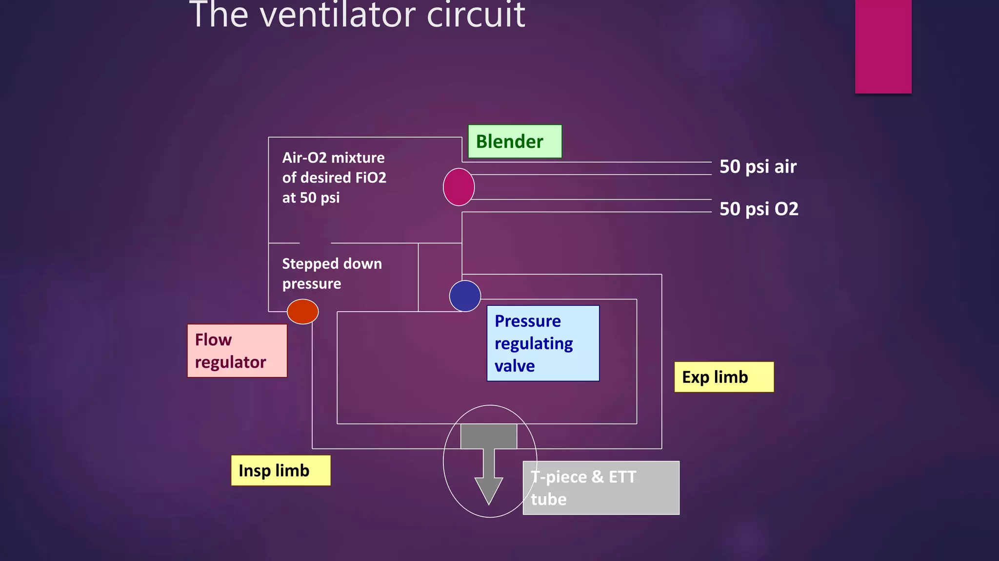 Basic modes of mechanical ventilation | PPTX | Lung and Respiratory ... image.