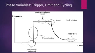 Phase Variables: Trigger, Limit and Cycling
 