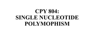 CPY 804:
SINGLE NUCLEOTIDE
POLYMOPHISM
 