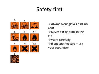 Safety first
Always wear gloves and lab
coat
Never eat or drink in the
lab
Work carefully
If you are not sure – ask
your supervisor
 