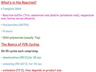 What’s in the Reaction?
• Template DNA
• Reaction buffer (Tris, ammonium ions (and/or potassium ions), magnesium
ions, bovine serum albumin)
• Nucleotides (dNTPs)
• Primers
• DNA polymerase (usually Taq)
The Basics of PCR Cycling
30–35 cycles each comprising:
– denaturation (95°C),for 30 sec
– annealing (55–60°C), for 30 sec
– extension (72°C), time depends on product size
 