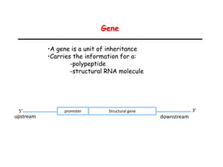 Gene
promoter Structural gene
flank flank
upstream downstream
5’ 3’
•A gene is a unit of inheritance
•Carries the information for a:
-polypeptide
-structural RNA molecule
 