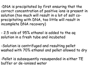-DNA is precipitated by first ensuring that the
correct concentration of positive ions is present in
solution (too much will result in a lot of salt co-
precipitating with DNA, too little will result in
incomplete DNA recovery)
- 2.5 vols of 95% ethanol is added to the aq
solution in a fresh tube and incubated
-Solution is centrifuged and resulting pellet
washed with 70% ethanol and pellet allowed to dry
-Pellet is subsequently resuspended in either TE
buffer or de-ionised water
 