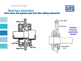 Motors | Automation | Energy | Coatings
Bearing Lubrication
How does the grease get into the rolling element?
How does the grease get into the rolling element?
Positive
Pressure
Lubrication
System
 