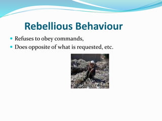 Rebellious Behaviour
 Refuses to obey commands,
 Does opposite of what is requested, etc.
 