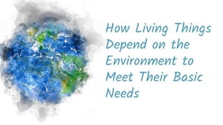 How Living Things
Depend on the
Environment to
Meet Their Basic
Needs
 
