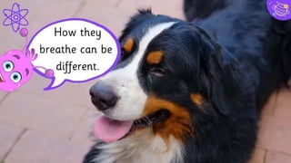 “Quotations are commonly
printed as a means of
inspiration and to invoke
philosophical thoughts from
the reader.
11
 