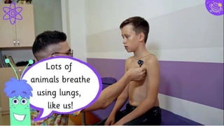 Big concept
Bring the attention of your
audience over a key concept
using icons or illustrations
12
 