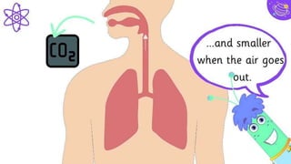 In two or three columns
Yellow
Is the color of
gold, butter and
ripe lemons. In
the spectrum of
visible light,
yellow is found
between green
and orange.
Blue
Is the colour of
the clear sky and
the deep sea. It is
located between
violet and green
on the optical
spectrum.
Red
Is the color of
blood, and
because of this it
has historically
been associated
with sacrifice,
danger and
courage.
14
 