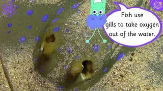 A picture is worth a thousand
words
A complex idea can be
conveyed with just a single
still image, namely making
it possible to absorb large
amounts of data quickly.
15
 