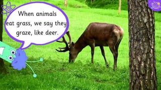 89,526,124$
That’s a lot of money
100%
Total success!
185,244 users
And a lot of users
20
 