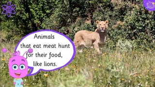 Our process is easy
21
first
second
last
 