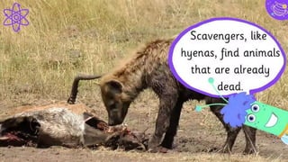 Let’s review some concepts
Yellow
Is the color of gold, butter
and ripe lemons. In the
spectrum of visible light,
yellow is found between
green and orange.
Blue
Is the colour of the clear
sky and the deep sea. It is
located between violet and
green on the optical
spectrum.
Red
Is the color of blood, and
because of this it has
historically been
associated with sacrifice,
danger and courage.
22
Yellow
Is the color of gold, butter
and ripe lemons. In the
spectrum of visible light,
yellow is found between
green and orange.
Blue
Is the colour of the clear
sky and the deep sea. It is
located between violet and
green on the optical
spectrum.
Red
Is the color of blood, and
because of this it has
historically been
associated with sacrifice,
danger and courage.
 