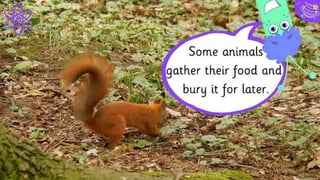 You can insert graphs from Excel or Google Sheets
23
4000
3000
2000
1000
0
 