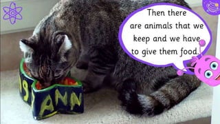 Mobile project
Show and explain your
web, app or software
projects using these gadget
templates.
24
 