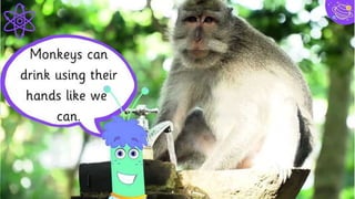 This presentation uses the following typographies:
⪢ Titles: Kalam
⪢ Body copy: Merriweather
Download for free at:
https://www.fontsquirrel.com/fonts/kalam
https://www.fontsquirrel.com/fonts/merriweather
Download all the illustrated backgrounds here:
https://drive.google.com/file/d/1o22s-
MVekIlxSb0Ldw_pcwMHDEnuUbT_/view?usp=sharing
Presentation design
You don’t need to keep this slide in your presentation. It’s only here to serve you as a
design guide if you need to create new slides or download the fonts to edit the
presentation in PowerPoint®
28
 