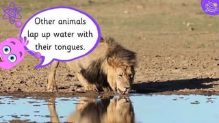 2.
Extra Resources
For Business Plans, Marketing
Plans, Project Proposals,
Lessons, etc
 