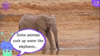 Timeline
30
DEC
NOV
OCT
SEP
AUG
JUL
JUN
MAY
APR
MAR
FEB
JAN
Blue is the colour of
the clear sky and the
deep sea
Red is the colour of
danger and courage
Black is the color of
ebony and of outer
space
Yellow is the color of
gold, butter and ripe
lemons
White is the color of
milk and fresh snow
Blue is the colour of
the clear sky and the
deep sea
Yellow is the color of
gold, butter and ripe
lemons
White is the color of
milk and fresh snow
Blue is the colour of
the clear sky and the
deep sea
Red is the colour of
danger and courage
Black is the color of
ebony and of outer
space
Yellow is the color
of gold, butter
and ripe lemons
 