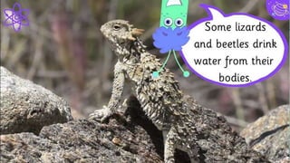 33
STRENGTHS
Blue is the colour of the
clear sky and the deep sea
WEAKNESSES
Yellow is the color of gold,
butter and ripe lemons
Black is the color of ebony
and of outer space
OPPORTUNITIES
White is the color of milk
and fresh snow
THREATS
SWOT Analysis
 