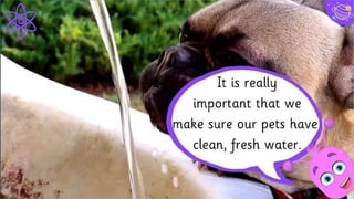 Business Model Canvas
34
Key Activities
Insert your content
Key Resources
Insert your content
Value Propositions
Insert your content
Customer Relationships
Insert your content
Channels
Insert your content
Customer Segments
Insert your content
Key Partners
Insert your content
Cost Structure
Insert your content
Revenue Streams
Insert your content
 
