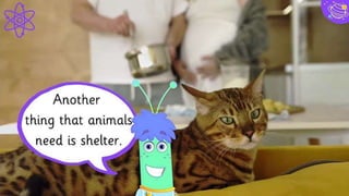 35
PURCHASE
LOYALTY
AWARENESS
EVALUATION
DISCOVERY
INTENT
Insert your content
Insert your content
Insert your content
Insert your content
Insert your content
Insert your content
Funnel
 