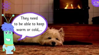 36
Imani Jackson
JOB TITLE
Blue is the colour of the
clear sky and the deep sea
Marcos Galán
JOB TITLE
Blue is the colour of the
clear sky and the deep sea
Ixchel Valdía
JOB TITLE
Blue is the colour of the
clear sky and the deep sea
Nils Årud
JOB TITLE
Blue is the colour of the
clear sky and the deep sea
Team Presentation
 