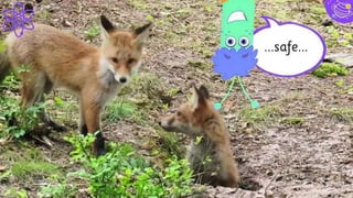 Competitor Matrix
37
LOW
VALUE
1
HIGH
VALUE
1
LOW VALUE 2
HIGH VALUE 2
Our company
Competitor
Competit
or
Competit
or
Competitor
Competit
or
Comp
etitor
 