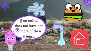 Diagrams and infographics
40
 