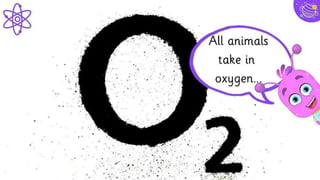 Hello!
I am Jayden Smith
I am here because I love to give
presentations.
You can find me at @username
9
 