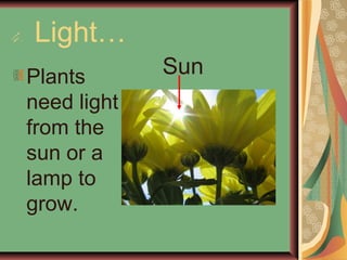 4. Light…
Plants
need light
from the
sun or a
lamp to
grow.
Sun
 
