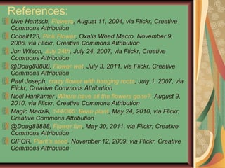 References:
Uwe Hantsch, Flowers, August 11, 2004, via Flickr, Creative
Commons Attribution
Cobalt123, Pink Flower, Oxalis Weed Macro, November 9,
2006, via Flickr, Creative Commons Attribution
Jon Wilson, July 24th, July 24, 2007, via Flickr, Creative
Commons Attribution
@Doug88888, Flower wet, July 3, 2011, via Flickr, Creative
Commons Attribution
Paul Joseph, crazy flower with hanging roots, July 1, 2007, via
Flickr, Creative Commons Attribution
Noel Hankamer ,Where have all the flowers gone?, August 9,
2010, via Flickr, Creative Commons Attribution
Magic Madzik, 144/365: Bean plant, May 24, 2010, via Flickr,
Creative Commons Attribution
@Doug88888, Flower fun, May 30, 2011, via Flickr, Creative
Commons Attribution
CIFOR, Plant’s seed, November 12, 2009, via Flickr, Creative
Commons Attribution
 