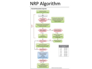 NRP Algorithm
 