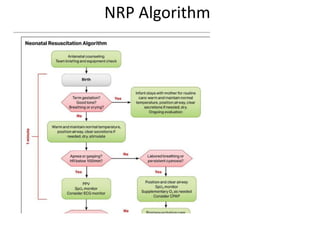 NRP Algorithm
 
