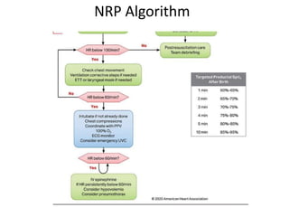 NRP Algorithm
 