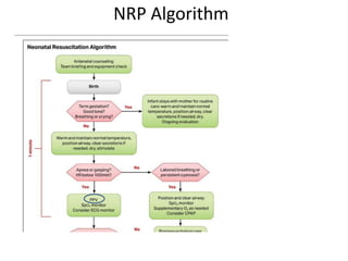 NRP Algorithm
 