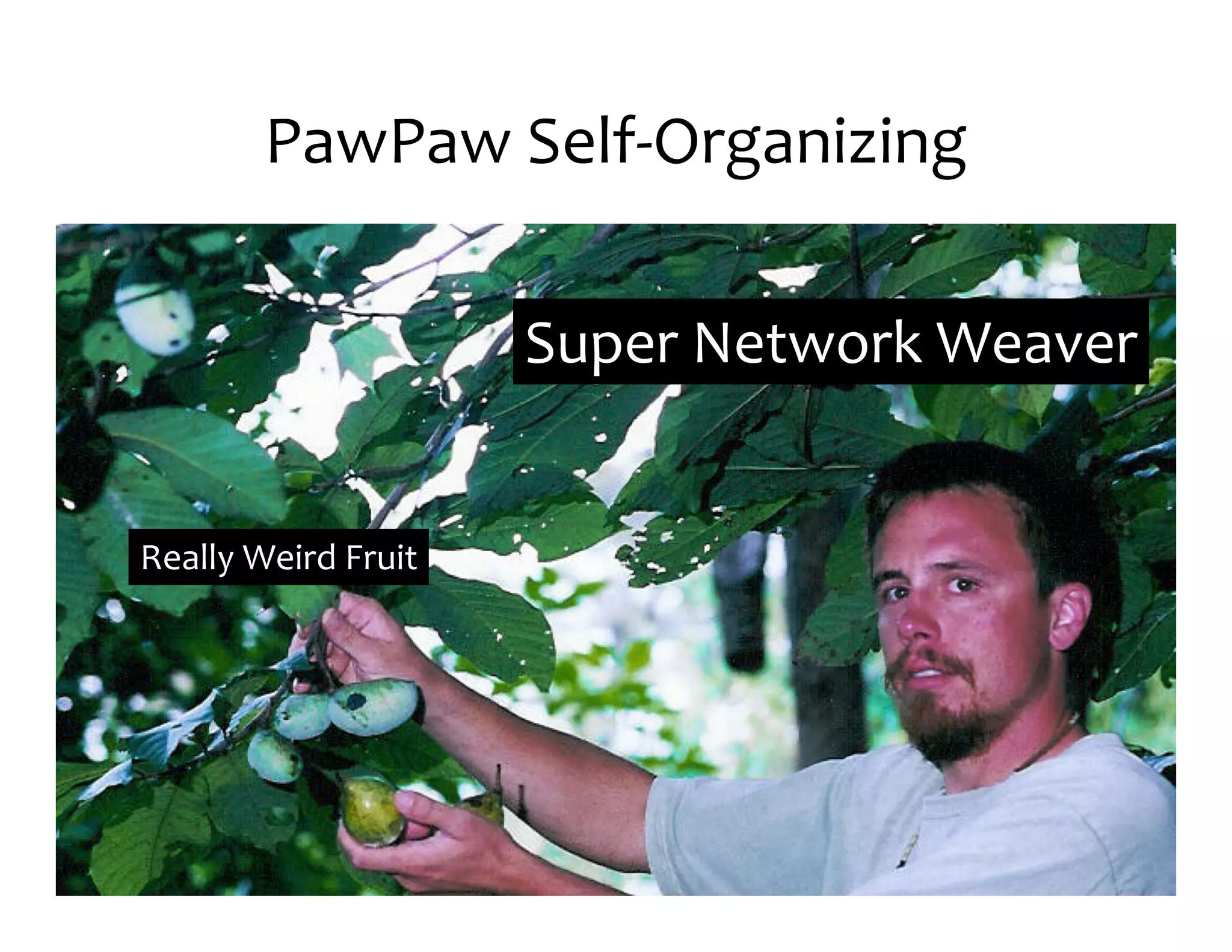 PawPaw	
  Self-­‐Organizing

                           Super	
  Network	
  Weaver


Really	
  Weird	
  Fruit
 