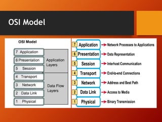 OSI Model 
 