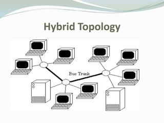 Hybrid Topology
 