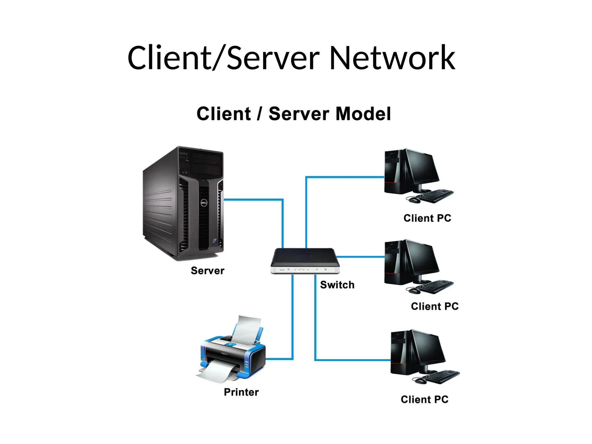 Client/Server Network
 