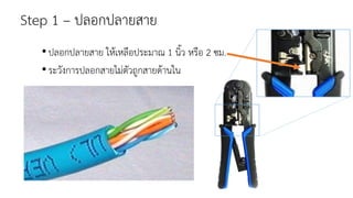 Step 1 – ปลอกปลายสาย
•ปลอกปลายสาย ให้เหลือประมาณ 1 นิ้ว หรือ 2 ซม.
•ระวังการปลอกสายไม่ตัวถูกสายด้านใน
 