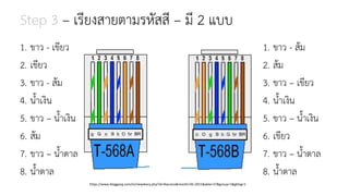 Step 3 – เรียงสายตามรหัสสี – มี 2 แบบ
1. ขาว - เขียว
2. เขียว
3. ขาว - ส้ม
4. น้าเงิน
5. ขาว – น้าเงิน
6. ส้ม
7. ขาว – น้าตาล
8. น้าตาล
1. ขาว - ส้ม
2. ส้ม
3. ขาว – เขียว
4. น้าเงิน
5. ขาว – น้าเงิน
6. เขียว
7. ขาว – น้าตาล
8. น้าตาล
https://www.bloggang.com/m/viewdiary.php?id=likecisco&month=05-2011&date=27&group=1&gblog=1
 