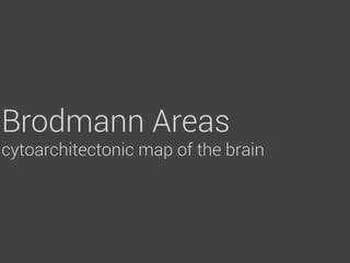 Brodmann Areas
cytoarchitectonic map of the brain
 