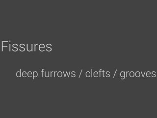 Fissures
  deep furrows / clefts / grooves
 