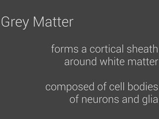 Grey Matter
       forms a cortical sheath
          around white matter

      composed of cell bodies
          of neurons and glia
 