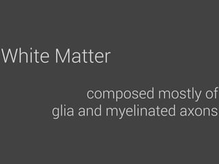 White Matter
           composed mostly of
     glia and myelinated axons
 